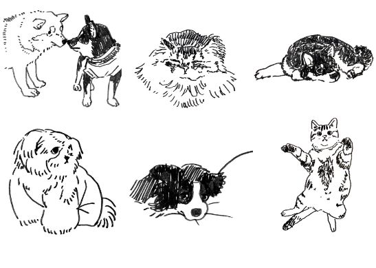 「はちの動物スケッチ」更新中！
