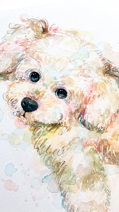 「我が家の宝物です」 haru