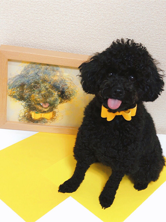 「さいっ、、こうです！！」 さかもとさやか