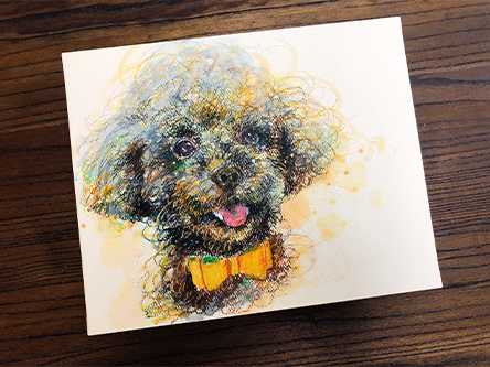 「さいっ、、こうです！！」 さかもとさやか